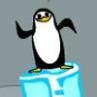 Pinguini de Echilibristica